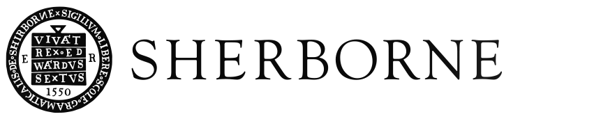 SS logo wide black.png
